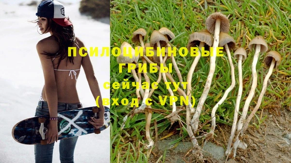 ALPHA PVP Балабаново