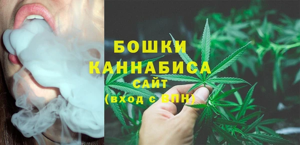 ПСИЛОЦИБИНОВЫЕ ГРИБЫ Баксан