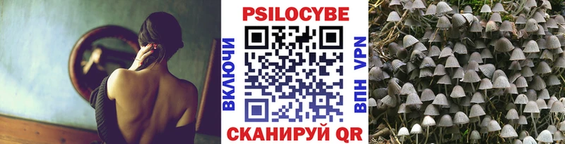 гидра маркетплейс  Светлый  Галлюциногенные грибы Magic Shrooms 